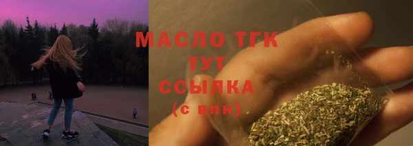 ECSTASY Пересвет