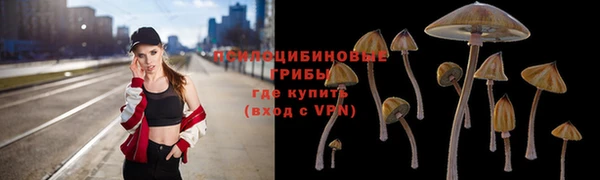 мескалин Покров
