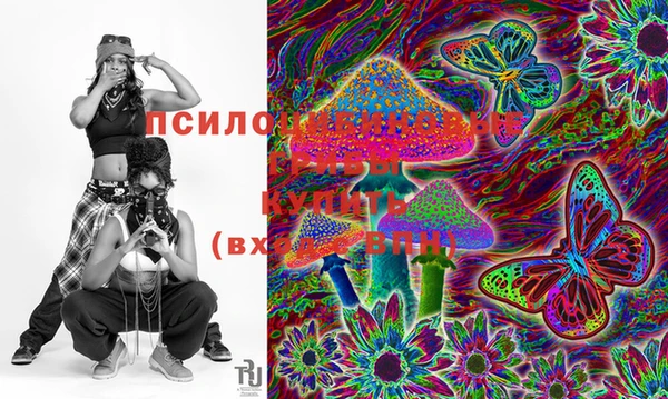 скорость Дубна